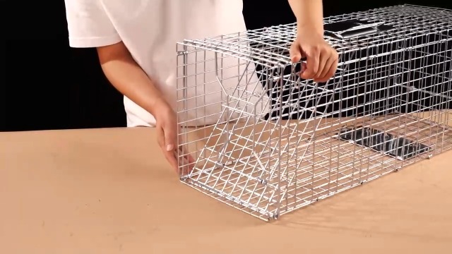 Amazon.com : Meibangzz Animal Traps,Live Animal Trap for Cats